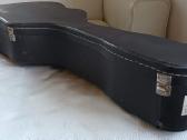 Gitara Washburn D10sk - nuotraukos Nr. 16