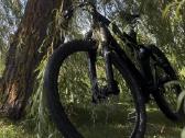 Tvarkingas MTB Dviratis - nuotraukos Nr. 4