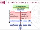 Konsultavimas. Diplominiai, Kursiniai Darbai - nuotraukos Nr. 12