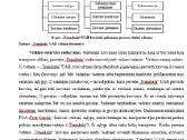 Konsultavimas. Diplominiai, Kursiniai Darbai - nuotraukos Nr. 14