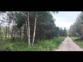 Parduodamas sklypas - nuotraukos Nr. 4