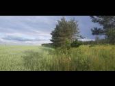 Parduodamas sklypas - nuotraukos Nr. 6
