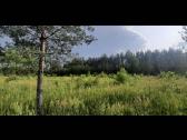 Parduodamas sklypas - nuotraukos Nr. 8