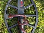 Minelab xtera ellite - nuotraukos Nr. 3