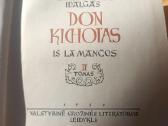 Don Kichotas iš La Mančos - nuotraukos Nr. 7