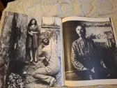 Lietuvos fotografija - nuotraukos Nr. 8