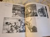 Lietuvos fotografija - nuotraukos Nr. 14