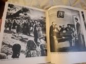 Lietuvos fotografija - nuotraukos Nr. 15