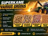 Superkame nekondicinius grūdus - nuotraukos Nr. 2