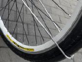 Dviratis Triumph Street - nuotraukos Nr. 7