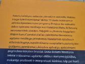Literatūros vadovėlis 11 kl 1 ir 2 dalis - nuotraukos Nr. 5
