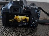 Canon EOS 250d +Canon Ef-s 18-135 Is Nanousm - nuotraukos Nr. 9
