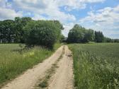 Parduodama sodyba su 2.05 ha žemės sklypu - nuotraukos Nr. 19