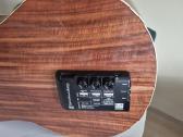 Akustine gitara Su tone wood amp. - nuotraukos Nr. 5