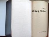 B. Sruoga. Dievų miškas. 1979 m. leid. - nuotraukos Nr. 2