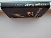 B. Sruoga. Dievų miškas. 1979 m. leid. - nuotraukos Nr. 12