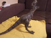 Dinozaurus Vintage - nuotraukos Nr. 4