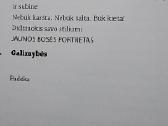 Girlboss - nuotraukos Nr. 7
