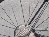 Canyon Endurance AL XL - nuotraukos Nr. 9