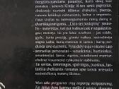 Dzin-šei paslaptys - nuotraukos Nr. 4