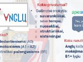 Išmok Anglų kalbą per 100 pamokų! - nuotraukos Nr. 4