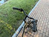 Raleigh - nuotraukos Nr. 6