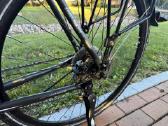 Raleigh - nuotraukos Nr. 14