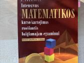 Intensyvus matematikos kurso kartojimas ruošiantis - nuotraukos Nr. 2