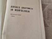 Augalų anatomija ir morfologija - nuotraukos Nr. 2