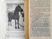 "Ūkio Parodos" 1922m Kultūros b-vės leidinys - nuotraukos Nr. 4