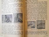"Mūsų Istorijos Pradžiamokslis 1923" J Trečiokas - nuotraukos Nr. 5