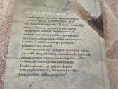 Dar kartą apie landsbergizmą - nuotraukos Nr. 6