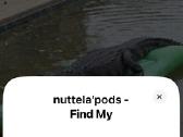 Apple Airpods Pro 1st gen A2084 / A2190 - nuotraukos Nr. 12