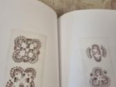 Savas margutis - nuotraukos Nr. 11