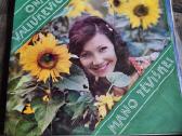 Vinilines ploksteles - nuotraukos Nr. 6