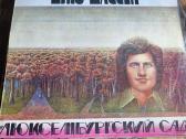 Vinilines ploksteles - nuotraukos Nr. 16