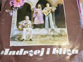 Vinilines ploksteles - nuotraukos Nr. 38