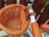 Stilingasis Banwood First Go 12" balansinis - nuotraukos Nr. 7