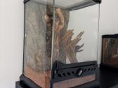 2 labai gražus Tarantulai Vorai. exo terra - nuotraukos Nr. 9
