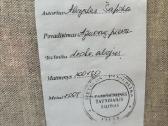Alvydas Šapoka paveikslas - nuotraukos Nr. 3
