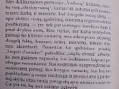 Lyderiai. Atsakomybės strategija - nuotraukos Nr. 5