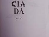 1-oji “lauciada: pjesės - nuotraukos Nr. 2