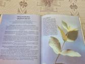 Rusų kalba : Ароматерапия - nuotraukos Nr. 6