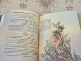 Rusų kalba : Ароматерапия - nuotraukos Nr. 7