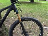 Rose root miller 3 full suspension L size 29 AXS - nuotraukos Nr. 3