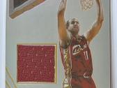 Zydrunas Ilgauskas Auto Jersey mix - nuotraukos Nr. 3