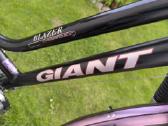 Moteriškas miesto dviratis Giant Blazer Comfort - nuotraukos Nr. 12