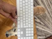 Magic keyboard gen2 - nuotraukos Nr. 2
