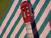 Gitara. - nuotraukos Nr. 4
