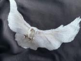Yeezy gap dove balenciaga hoodie - nuotraukos Nr. 5
